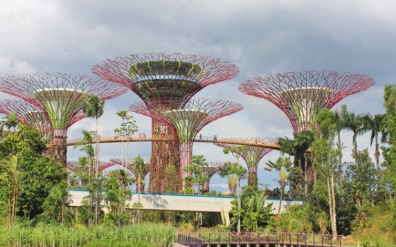 Сінгапурський ботанічний сад, Сінгапур telegraph.co.uk